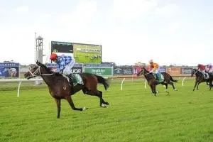 Youngstar Youngstar enters Queensland Oaks picture