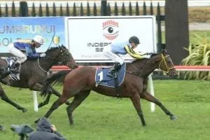 Admiral Ralph pair poised for Awapuni success