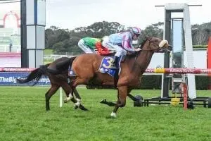 Al Galayel Maher import impressive in Sandown victory
