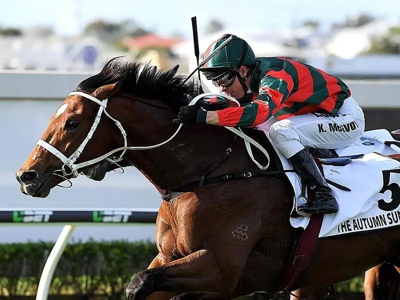 Jockey Kerrin McEvoy rides The Autumn Sun.