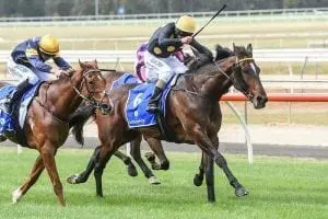 Balf's Choice Flemington track to suit Adelaide visitor