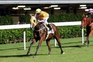 Doctor Geoff Purton prevails in HK premiership battle