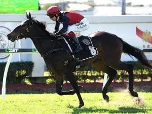 Malahide underlines potential for Costa Malahide underlines potential for Costa