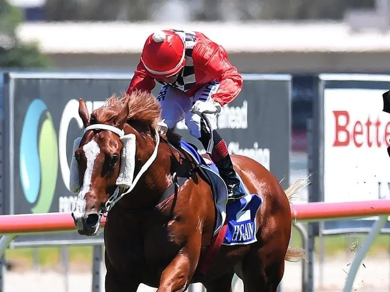 Mishani Bullitt will try to end his winter campaign on a winning note in the Sunshine Coast Guineas. Mishani Bullitt