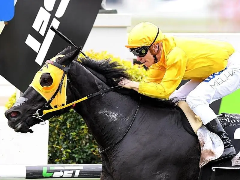 Ben Melham rides Savanna Amour to victory in race 1 at Doomben