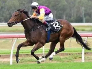 Pat Duff’s hopes of stakes win soar Pat Duff's hopes of stakes win soar