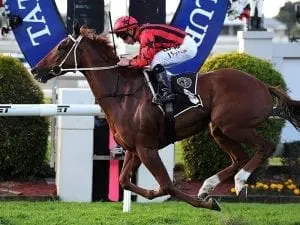 Divine Unicorn wins Gr 3 Tattersall’s Cup Divine Unicorn wins Gr 3 Tattersall's Cup