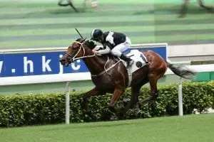 Exultant Exultant impresses with resolute Premier Plate triumph