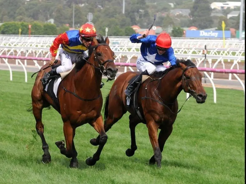 Trainer Patrick Payne says Husson Eagle (right) is ready for Flemington after a let-up. husson eagle
