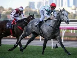 Rocket Tommy after another Flemington win Rocket Tommy after another Flemington win
