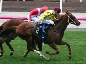Parnhams combine for Flemington success Parnhams combine for Flemington success
