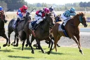 Flying Sardine Giveaway excelling for Tyler