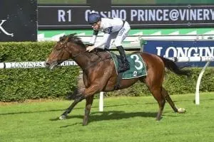 Foreign Territory Duo off the mark for Waterhouse and Bott