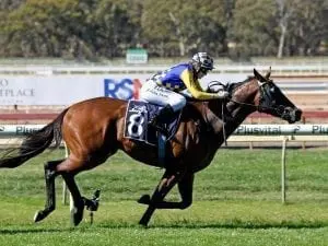 McCarthy to rely on Ashlor at Caulfield McCarthy to rely on Ashlor at Caulfield