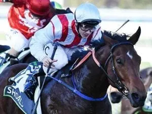 Shoals to run for The Star in $13m Everest Shoals to run for The Star in $13m Everest