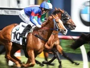 Single Gaze joins Chris Waller stable Single Gaze joins Chris Waller stable