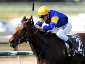Melham keen on Everest start for Santa Melham keen on Everest start for Santa