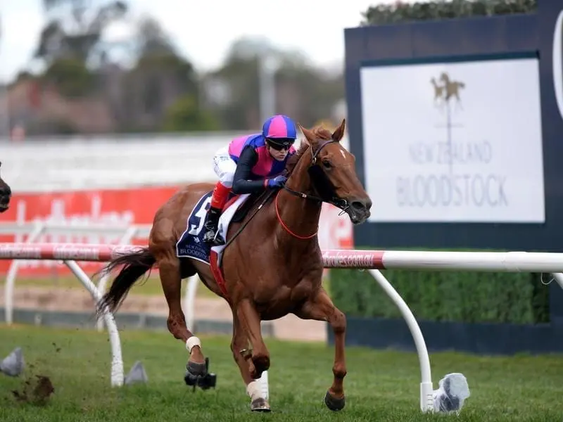 Dual Group One winner Vega Magic has begun his build-up to the major spring races. vega magic
