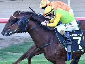 I'm A Rippa Rippa a millionaire for Gollan at Ipswich