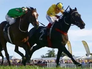 Class tells in Ipswich Cup for Weir Class tells in Ipswich Cup for Weir