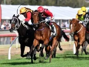 Envy win moves Lees to training record Envy win moves Lees to training record