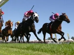 I Feel Good returns to win Stayers Final I Feel Good returns to win Stayers Final