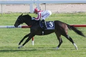 Jon Wick Jon Wick all action at Ruakaka