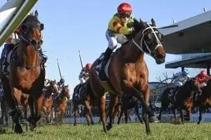 Rosehill returns this Saturday following five week break