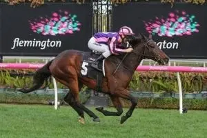 Moss N Dale Gelagotis confident with stable favourite