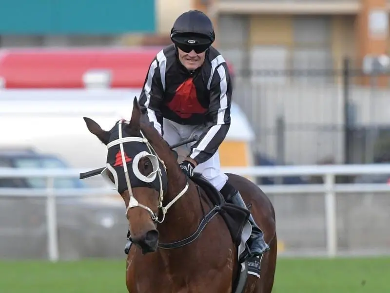 Jockey Kevin Forrester reacts after riding Jungle Edge.