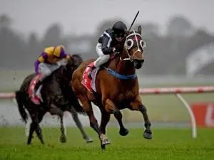 Cartwright excited for Sydney experience Cartwright excited for Sydney experience