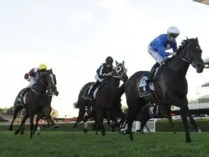 I Thought So ends run of outs at Randwick I Thought So ends run of outs at Randwick