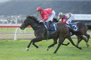 Ripnroll Ropiha's Ripnroll plan falls into place