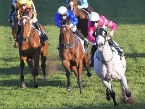Albumin racks up another sprint win Albumin racks up another sprint win