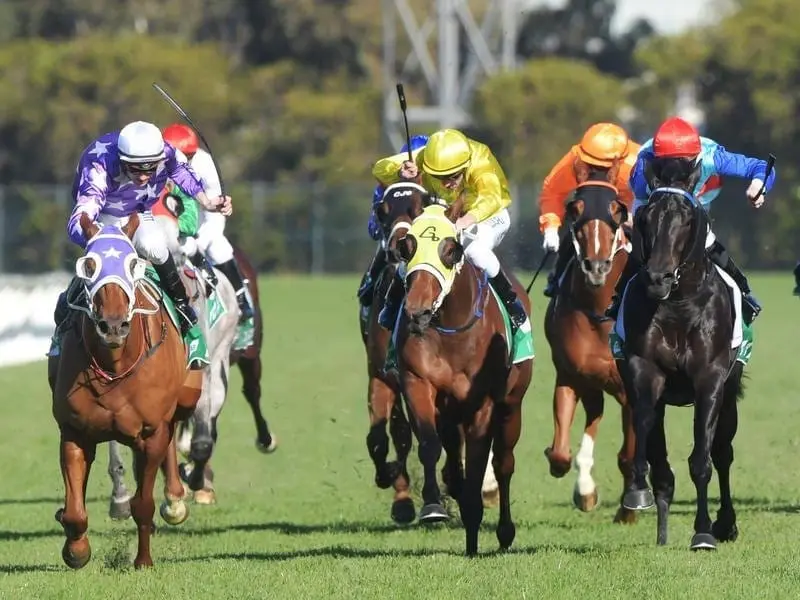 Chatelard has won at Rosehill, bringing trainer Chris Waller closer to a personal milestone. Tye Angland riding Chatelard to win race 5 at Rosehill