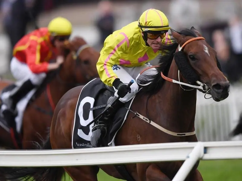 Dawn Dawn ridden by Robert Thompson wins race 3 at Rosehill