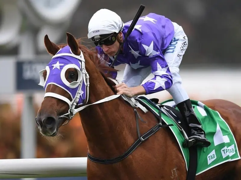 Gresham ridden by Blake Shinn wins race 2 at Rosehill