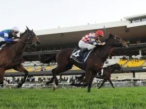 Manolo Blahniq on track for Queensland Manolo Blahniq on track for Queensland
