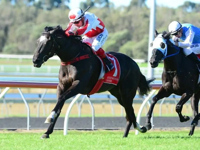 The Jack Thompson-trained Commander has taken out the Phoenix Stakes on the Sunshine Coast. Jockey Dean Yendall rides Commander to victory in Race 3.