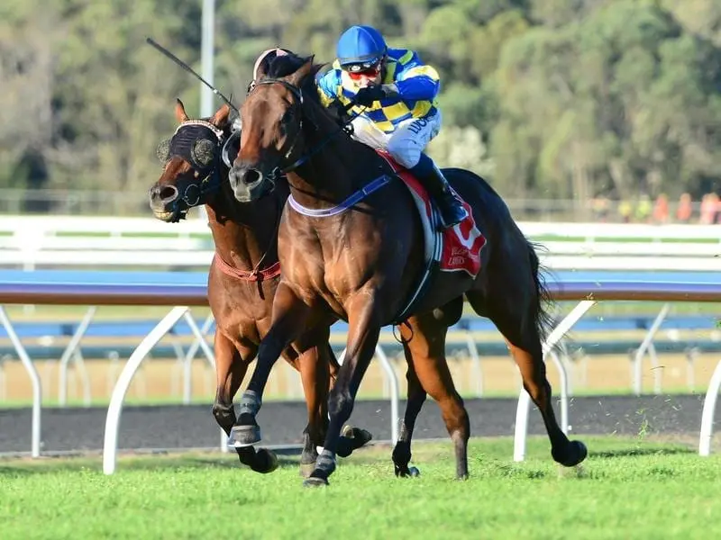 Jockey Luke Tarrant rides Tarzan to victory in race 6.