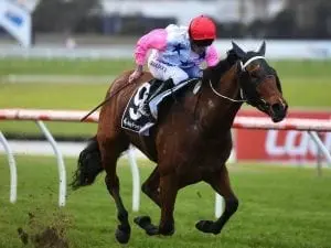 Jason Baldock gets job done at Sandown Jason Baldock gets job done at Sandown
