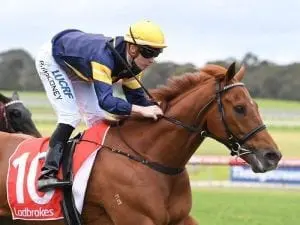 Import Hang Man adds Sandown win to record Import Hang Man adds Sandown win to record