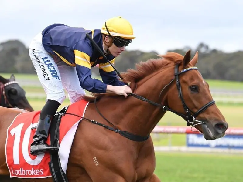 Hang Man has comfortably won the 2400m Ladbrokes Back Yourself Handicap at Sandown. Patrick Moloney rides Hang Man to victory in race 4 at Sandown