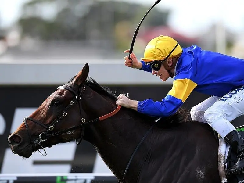 Jockey Ben Melham rides Santa Ana Lane.