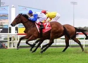 The Bostonian The Bostonian set to back-up in Guineas