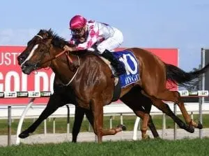 Champagne Cuddles on track for Tiara Champagne Cuddles on track for Tiara