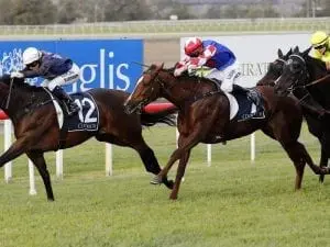Coyle confident of another Group One Coyle confident of another Group One