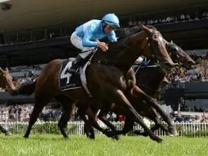 Prompt Response primed for Tatt’s Tiara Prompt Response primed for Tatt's Tiara
