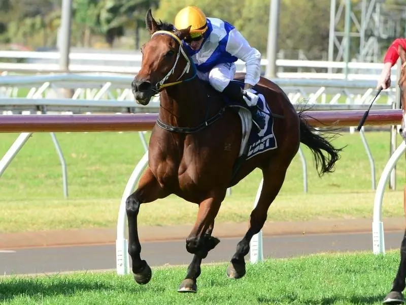 Paul Hammersley rides Protest to win race 4 at Toowoomba