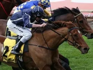 Widgee Turf wins again at Moonee Valley Widgee Turf wins again at Moonee Valley